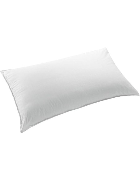 Guanciale basic anallergico