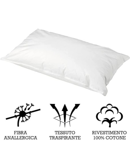 Guanciale basic anallergico