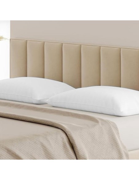 Coppia Federe Bianche Biancaluna Linea Colored in 100% puro cotone per Hotel e BeB